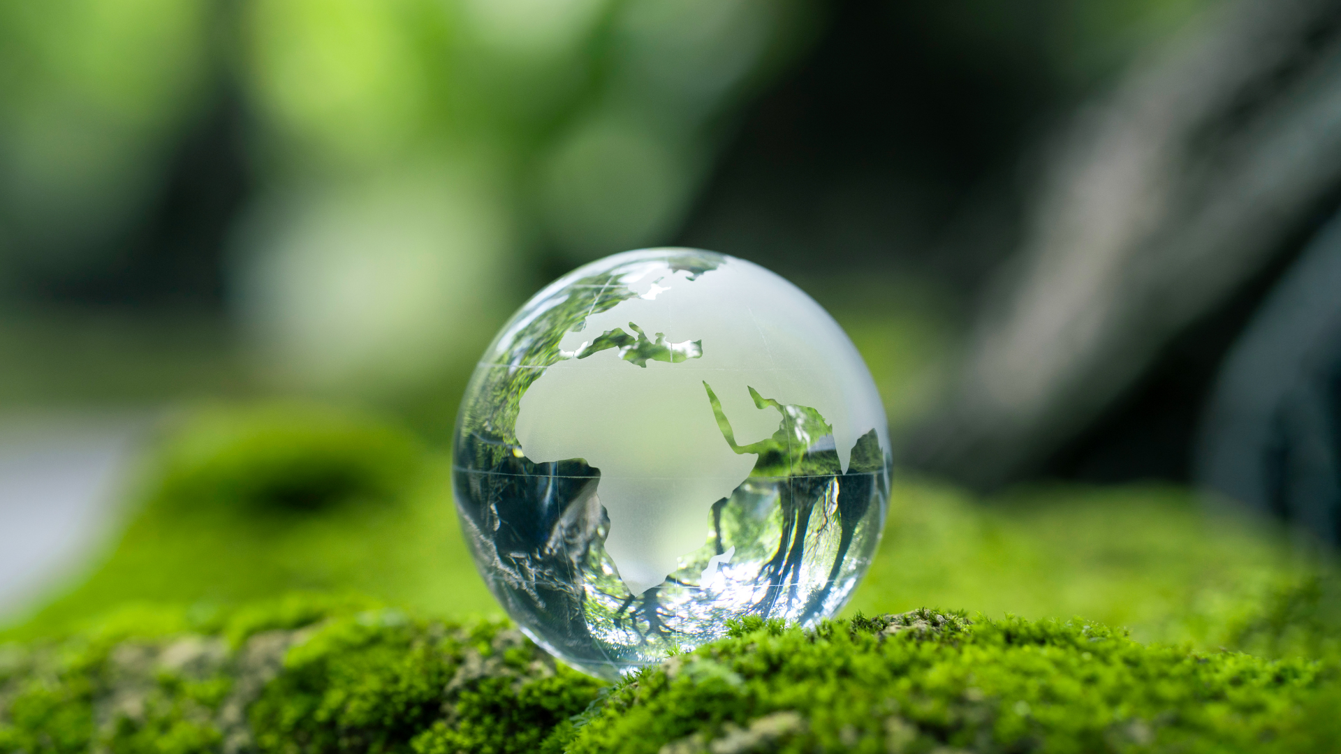 Progetti di sostenibilità